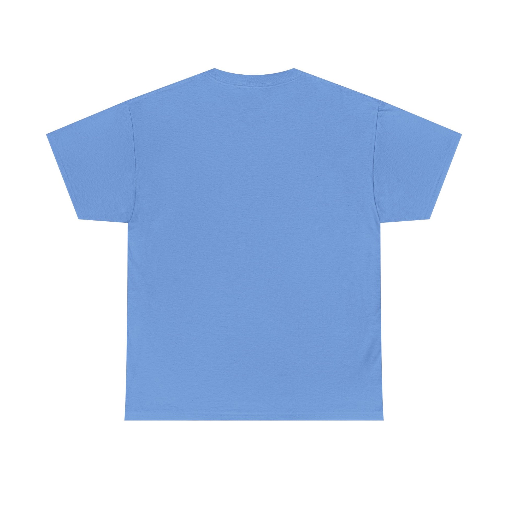 Jesus Won Heavyweight Cotton Tee - Lifted By Christ