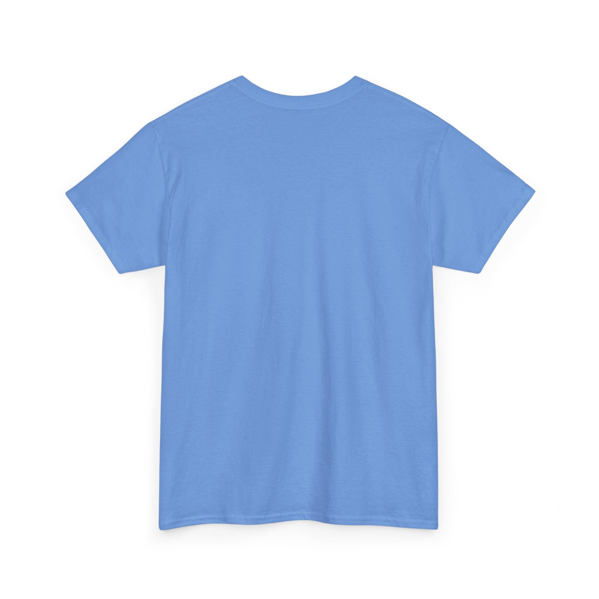 Jesus Won Heavyweight Cotton Tee - Lifted By Christ